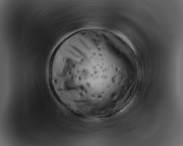 X0000095691101200801291212