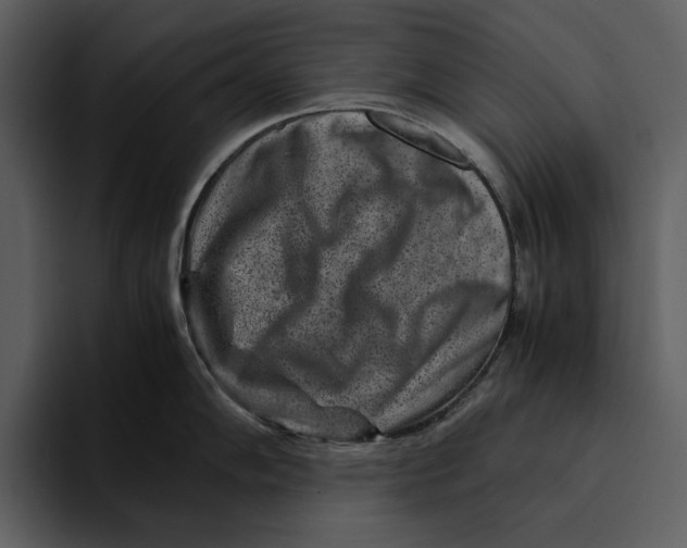 X0000095691102200801291212