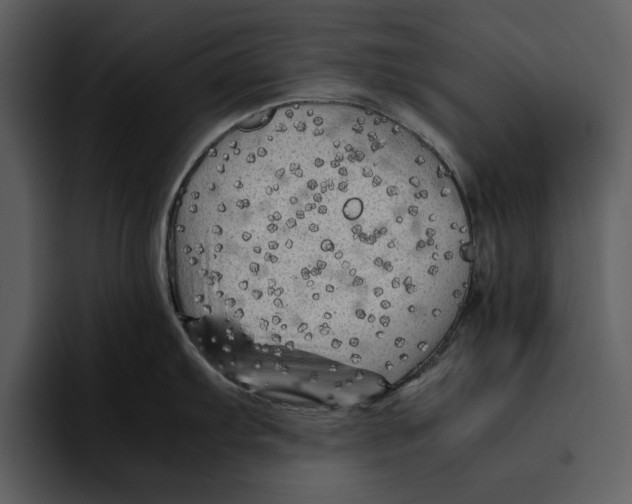 X0000095691103200801291212