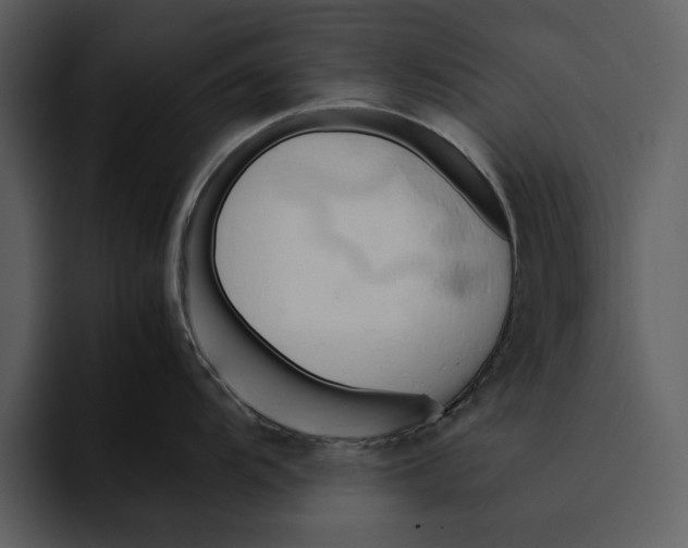 X0000095691104200801291212