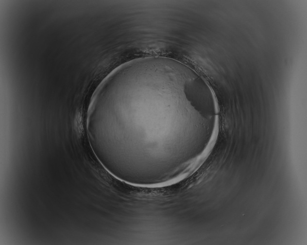 X0000095691106200801291211