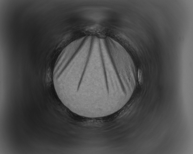 X0000095691107200801291211