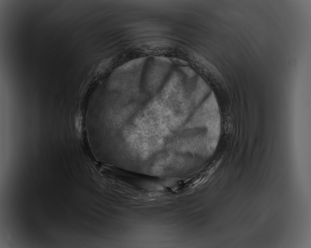 X0000095691108200801291211