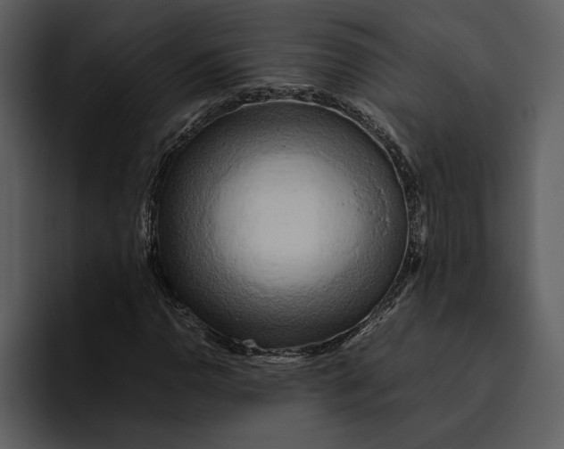 X0000095691110200801291211