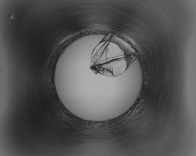 X0000095691112200801291211