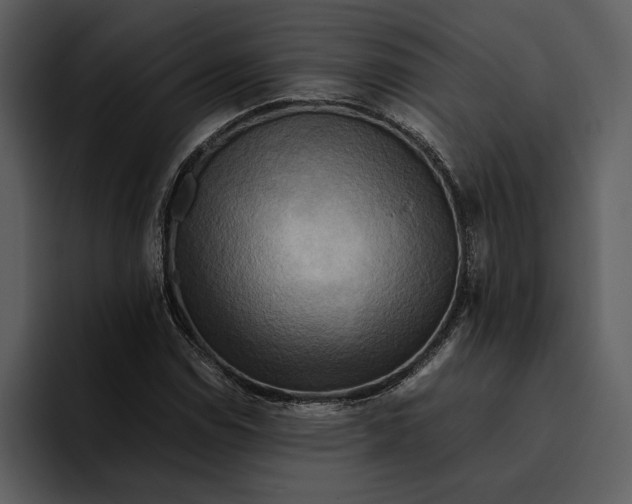 X0000095691114200801291211