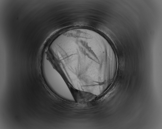 X0000095691115200801291211