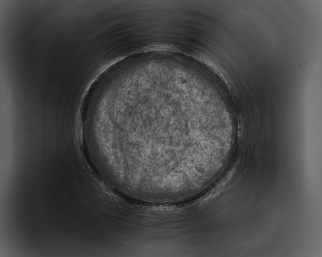 X0000095691117200801291211