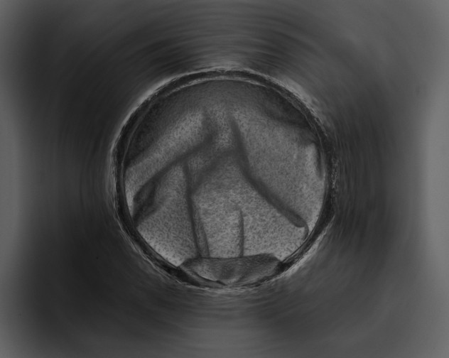 X0000095691118200801291211