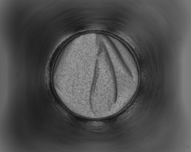 X0000095691119200801291211