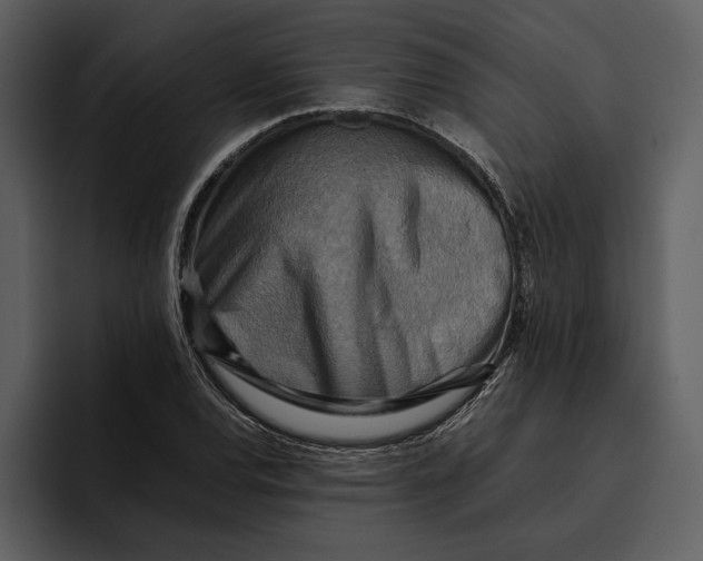 X0000095691120200801291212