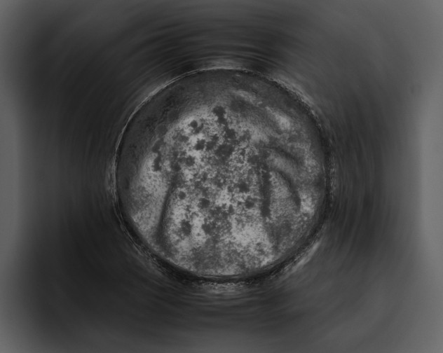 X0000095691121200801291212