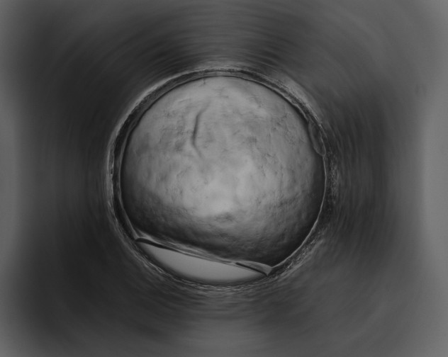 X0000095691124200801291212