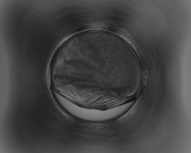 X0000095691127200801291212