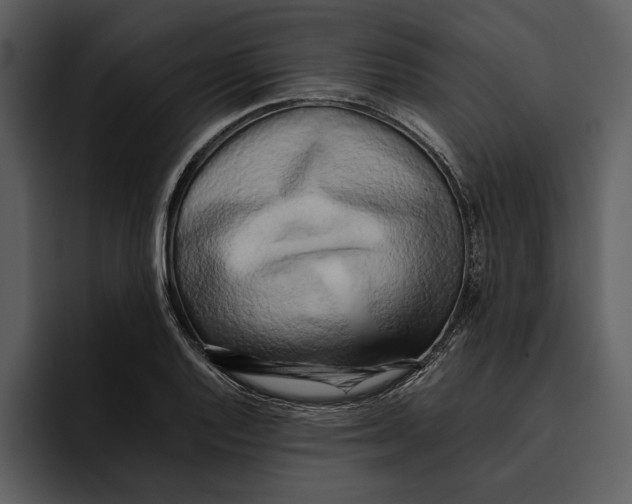 X0000095691128200801291212