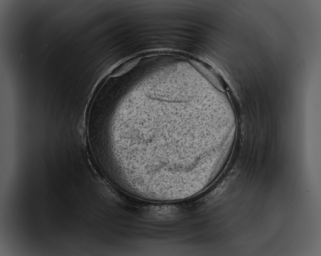 X0000095691129200801291212