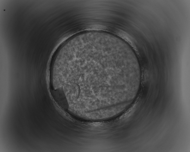 X0000095691130200801291212