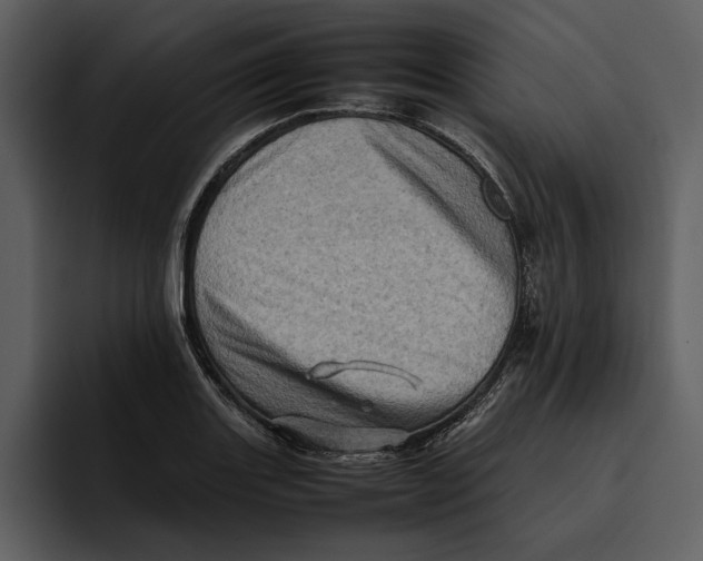 X0000095691131200801291212