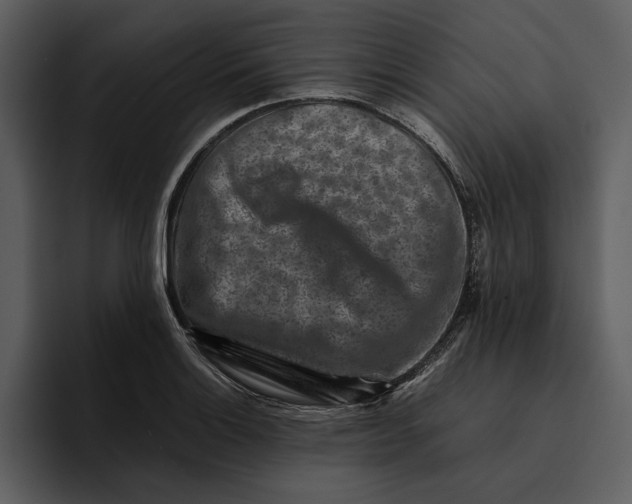 X0000095691132200801291212