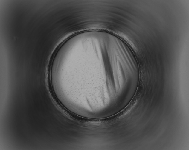 X0000095691134200801291212