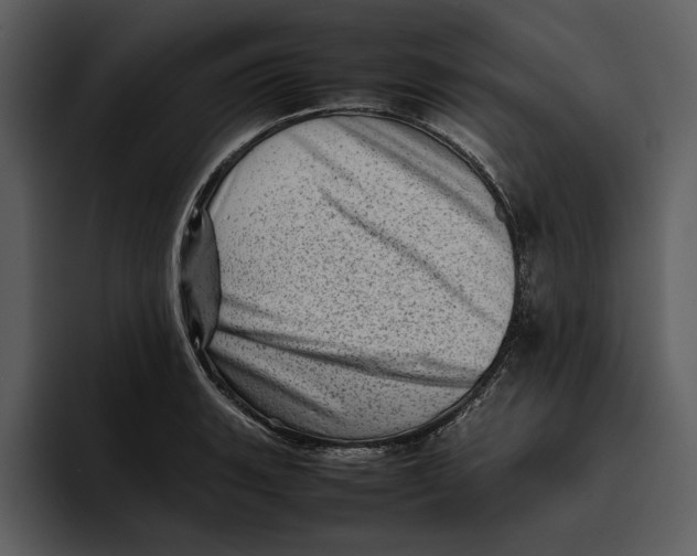 X0000095691135200801291212