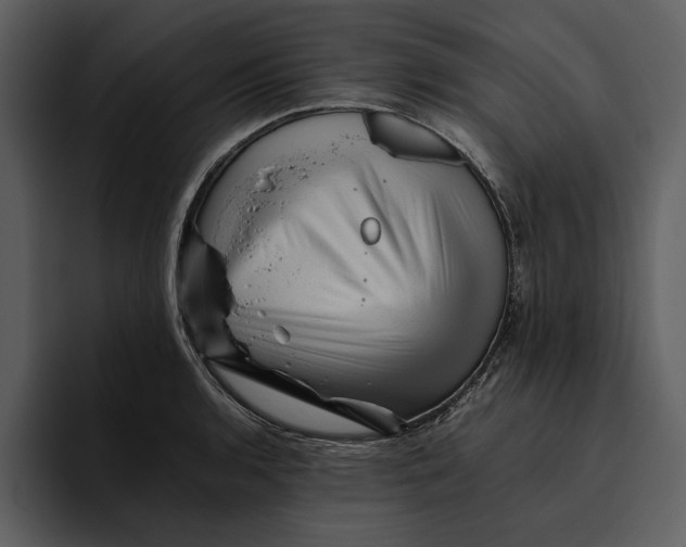 X0000095691136200801291212