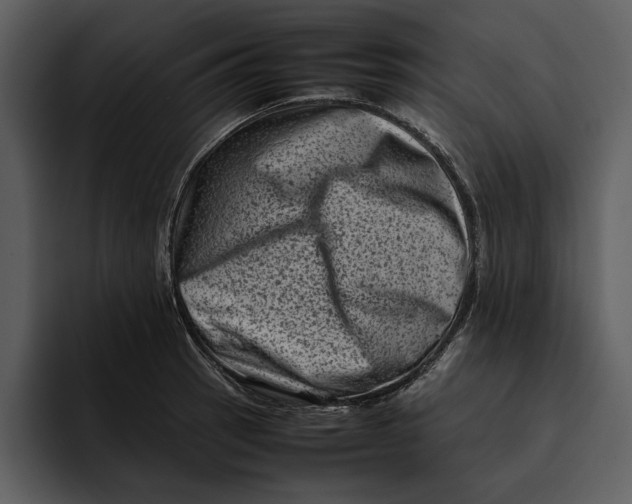 X0000095691137200801291212