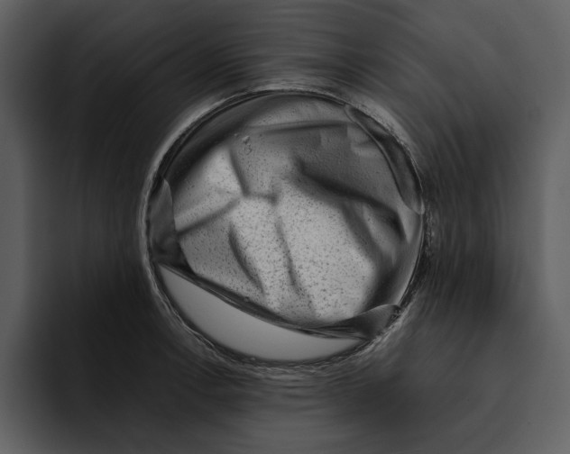 X0000095691138200801291212