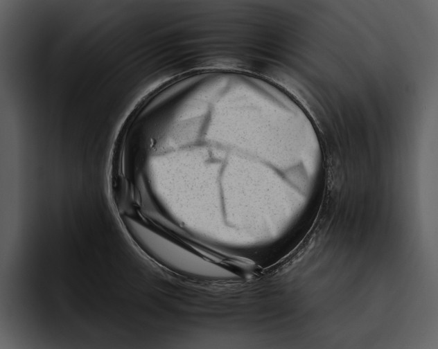 X0000095691139200801291212