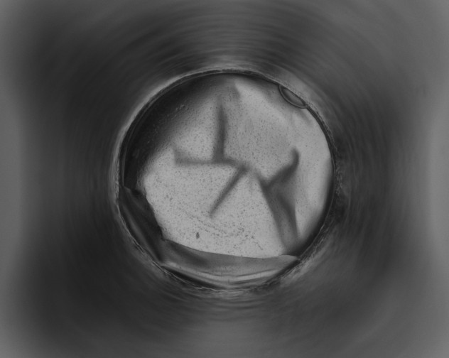 X0000095691140200801291212