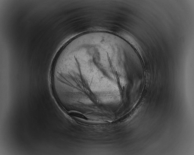 X0000095691141200801291212