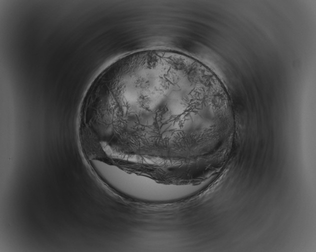 X0000095691142200801291212