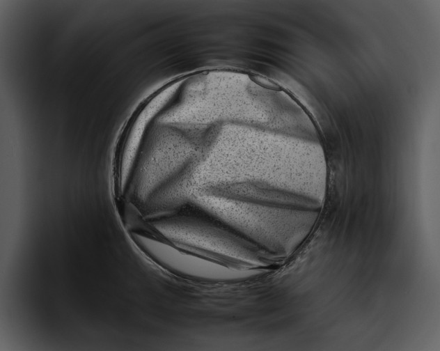 X0000095691143200801291212