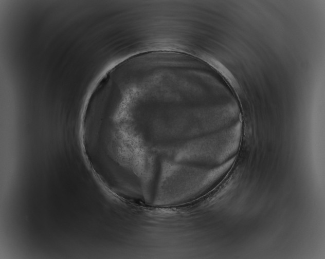 X0000095691144200801291212