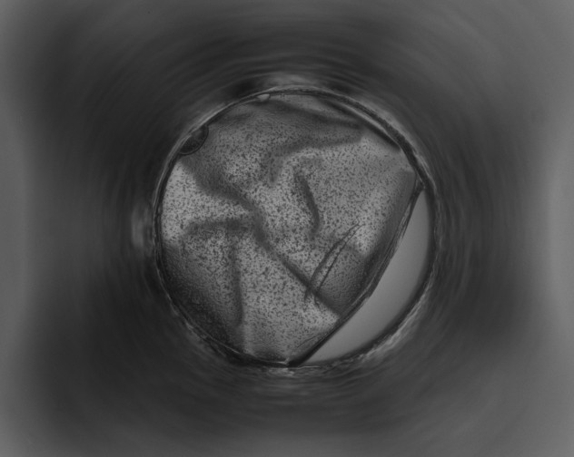 X0000095691145200801291212