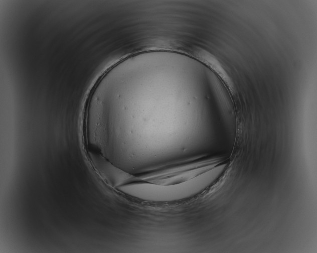 X0000095691146200801291212