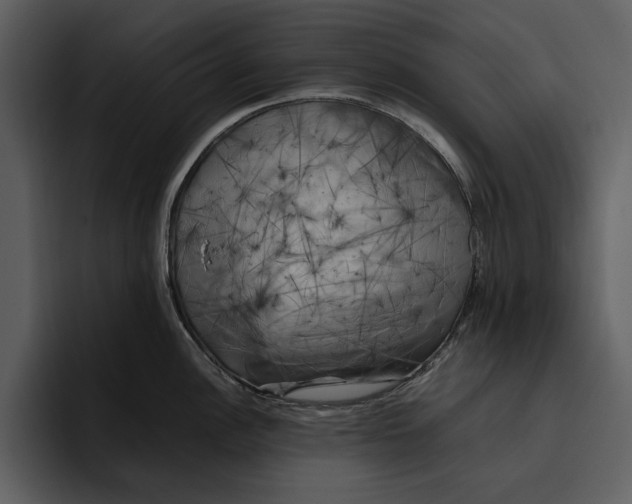 X0000095691148200801291212