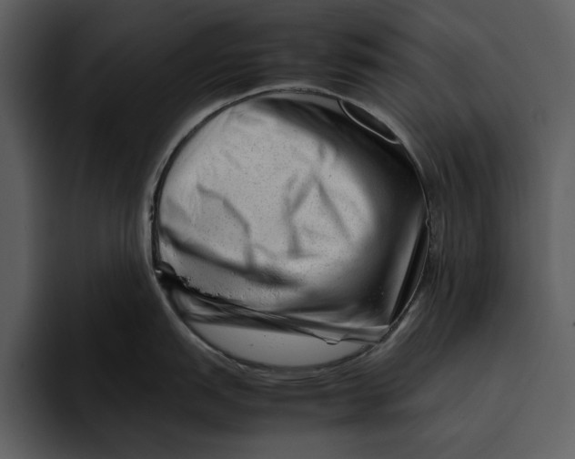 X0000095691151200801291212