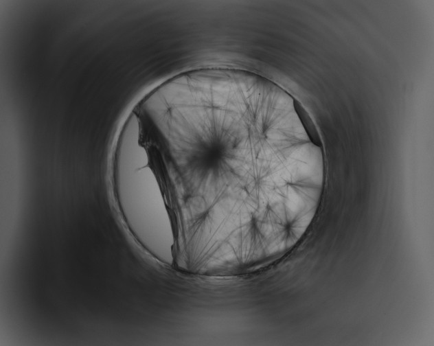 X0000095691152200801291212