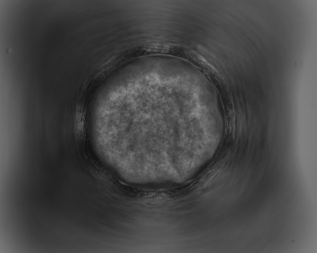 X0000095691154200801291211