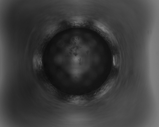 X0000095691155200801291211