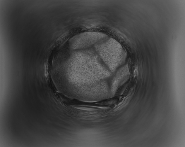 X0000095691156200801291211