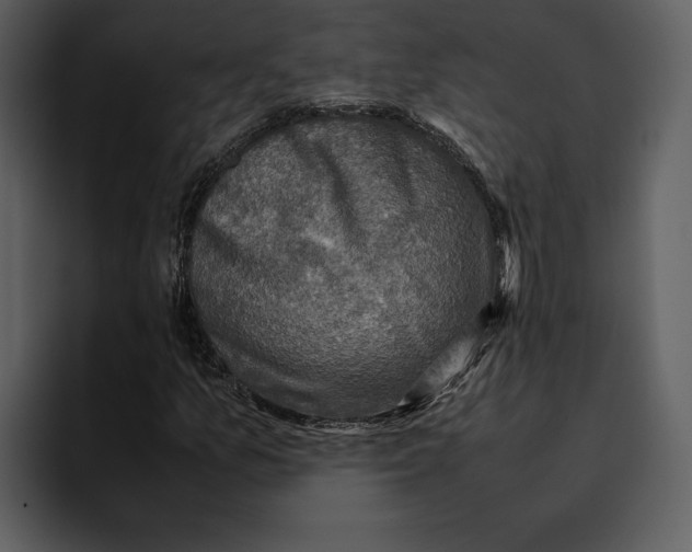 X0000095691157200801291211