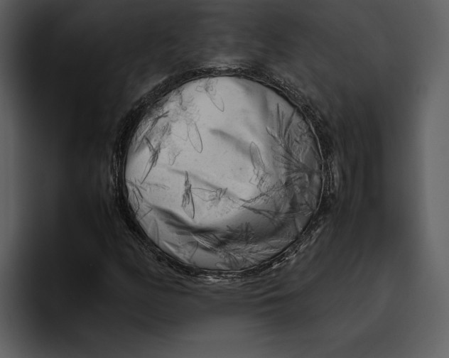 X0000095691158200801291211