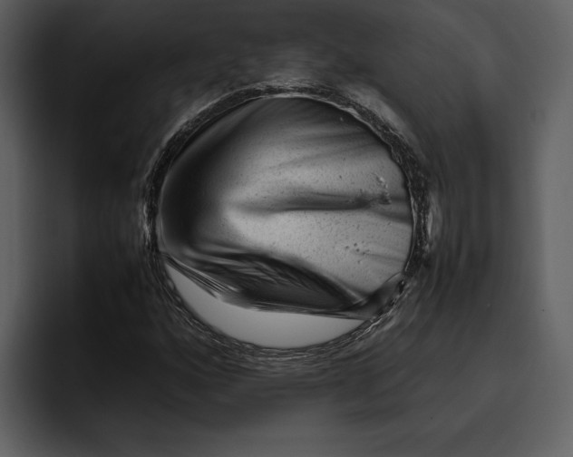 X0000095691160200801291211