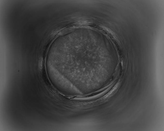 X0000095691161200801291211