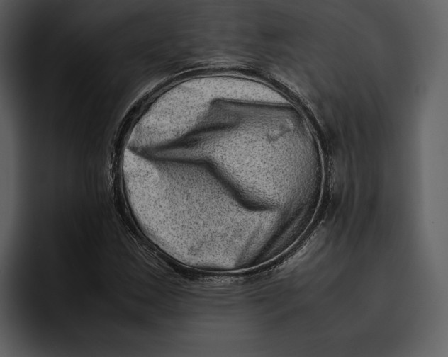 X0000095691163200801291211