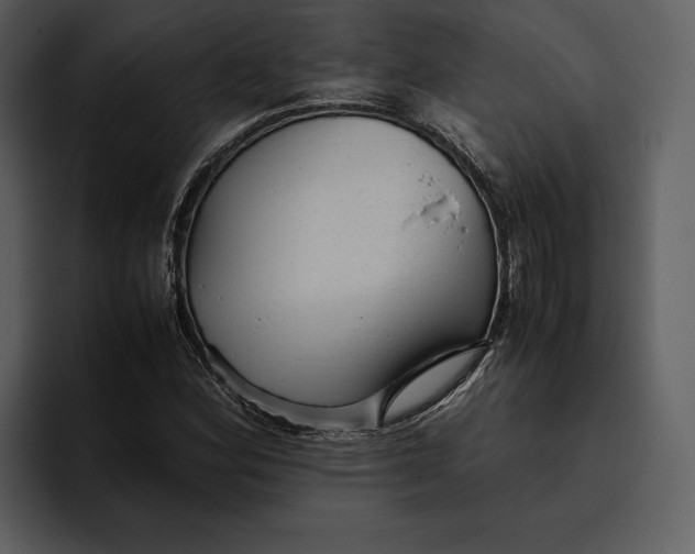 X0000095691164200801291211