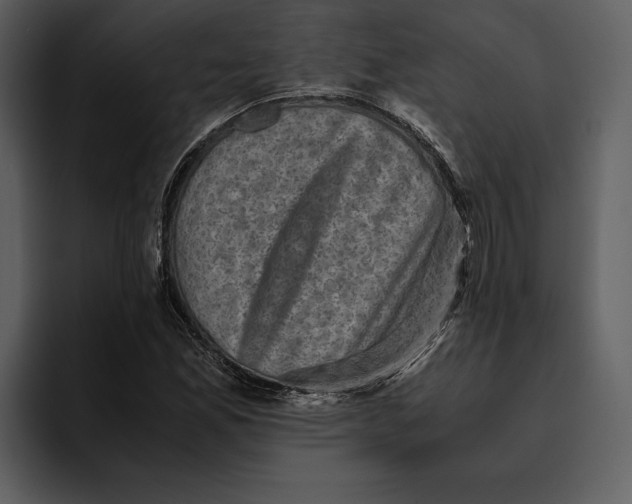 X0000095691165200801291211