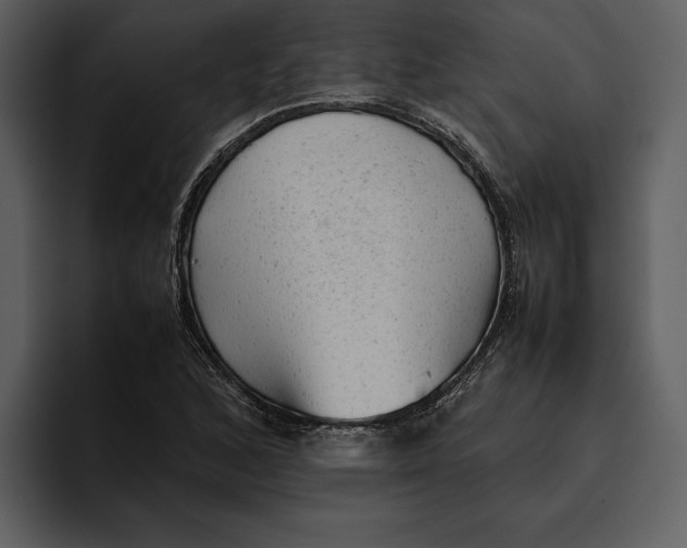 X0000095691168200801291211